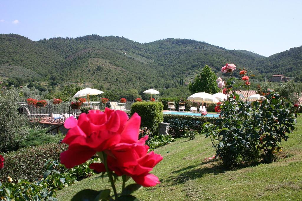 Agriturismo Cortoreggio Cortona Exterior foto