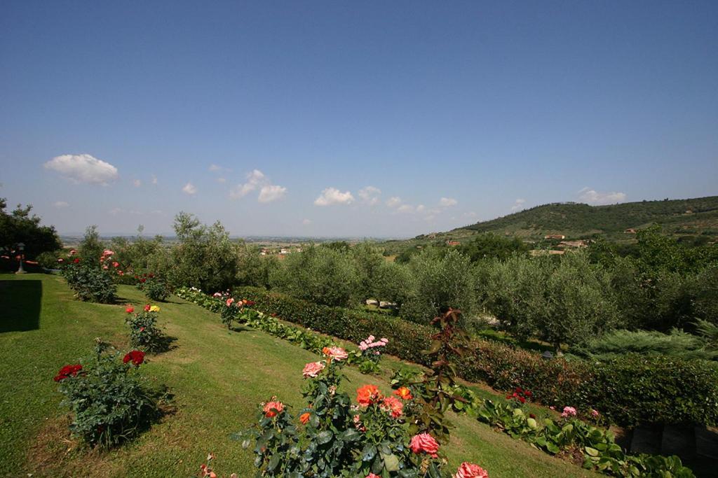 Agriturismo Cortoreggio Cortona Exterior foto
